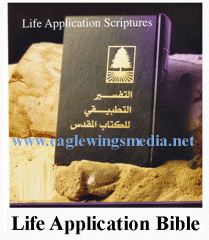Life Application Bible