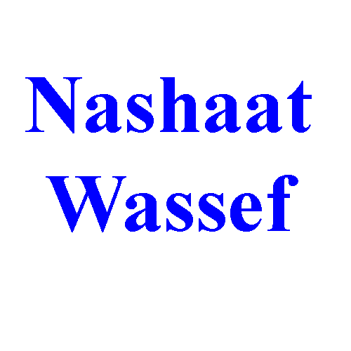 Nashaat Wassef