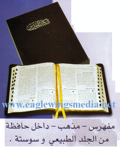 Bible - (C-TIZ 67) (Size 16 cm x 22 cm)