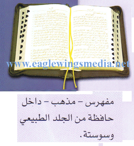 Arabic Bible - (C- TIZ 37) (Size 15.5 cm x 10.5 cm)